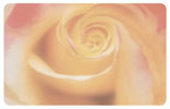 Rose Gift Card